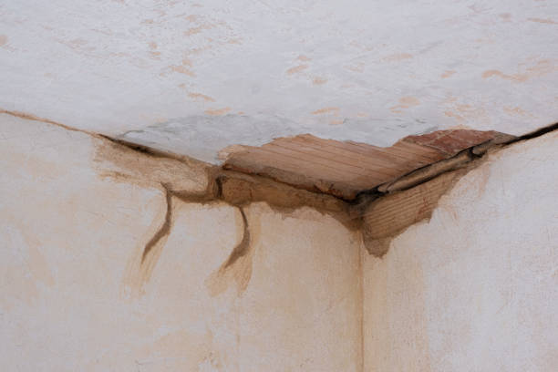 Carpet water damage restoration in Marrero, LA